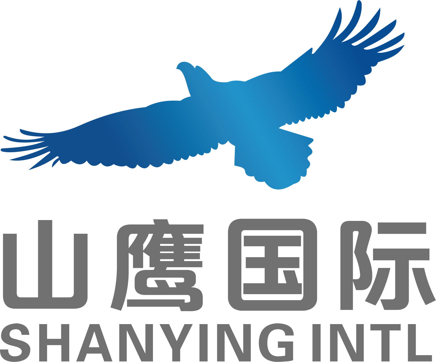 蓝月亮正版资料特大全